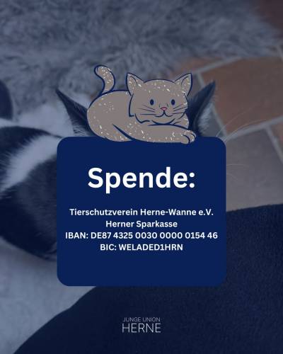Spenden nimmt das Tierheim immer entgegen!